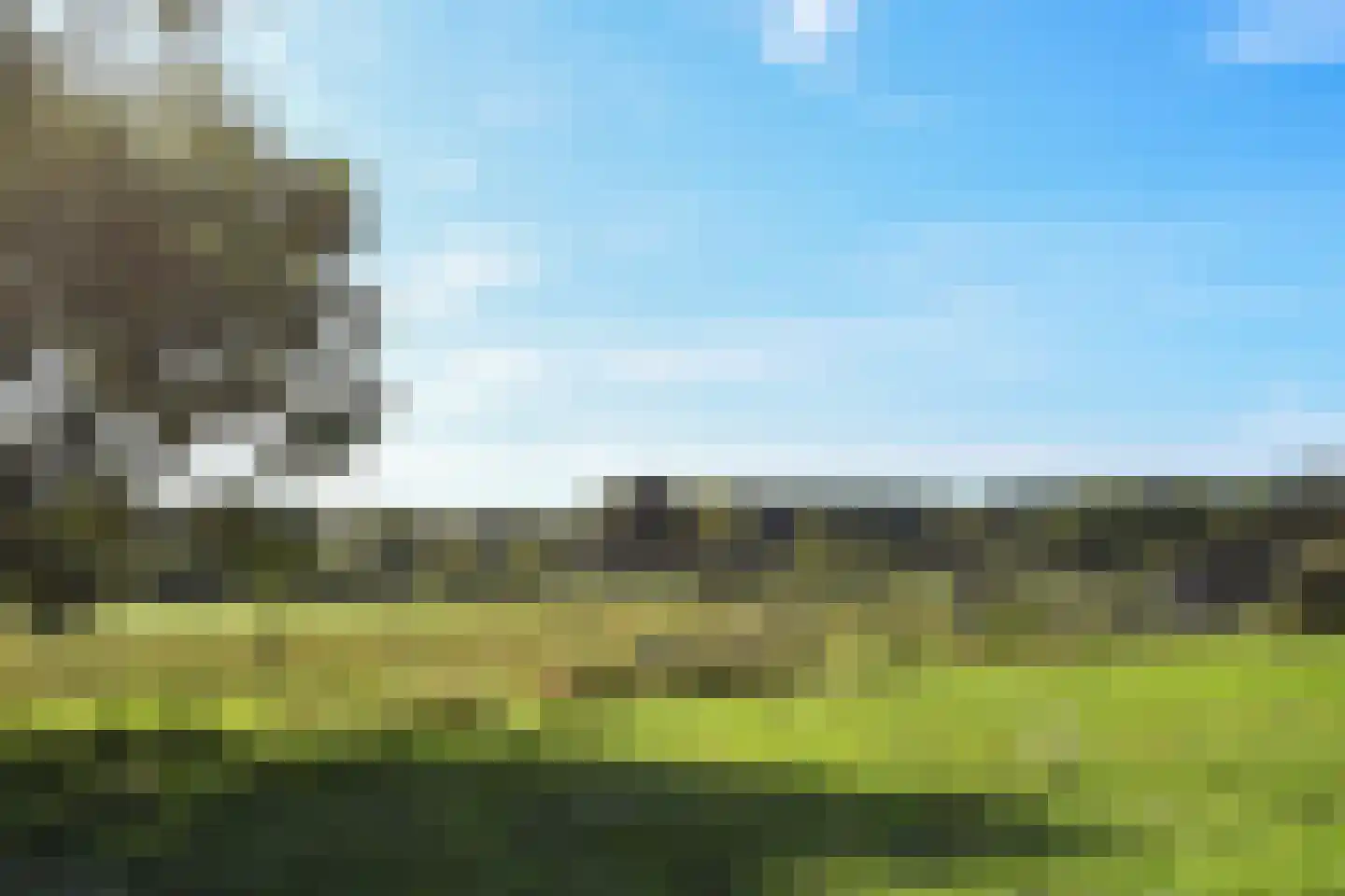 Rijkel 33 Beesel thumbnail 31