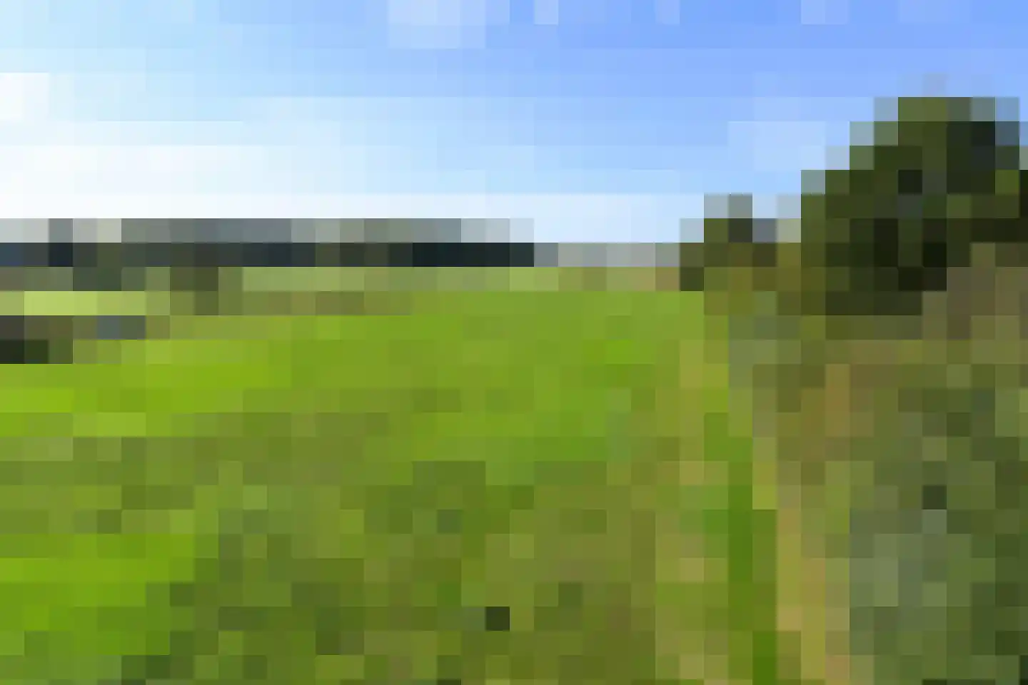Rijkel 33 Beesel thumbnail 35