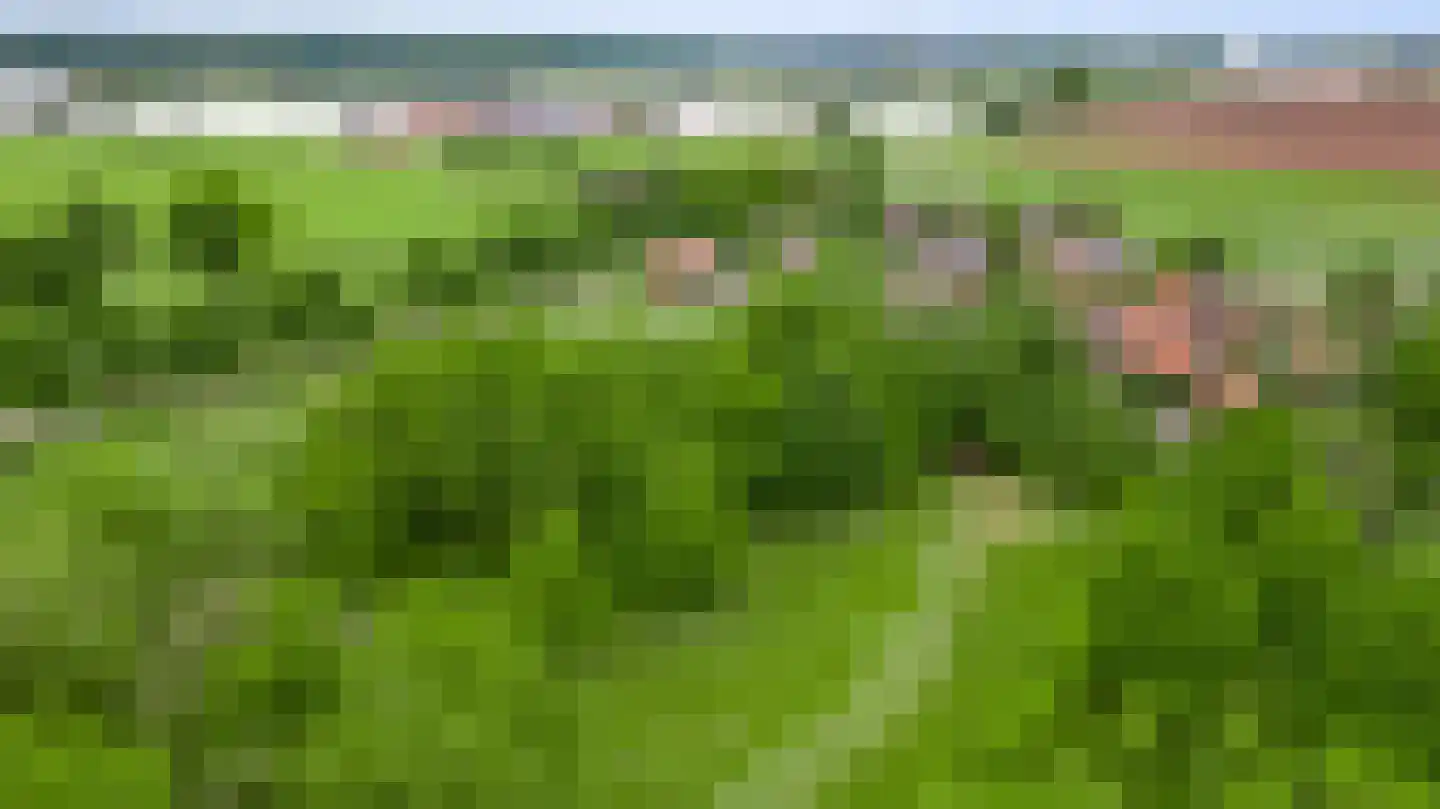 Rijkel 35 Beesel thumbnail 101
