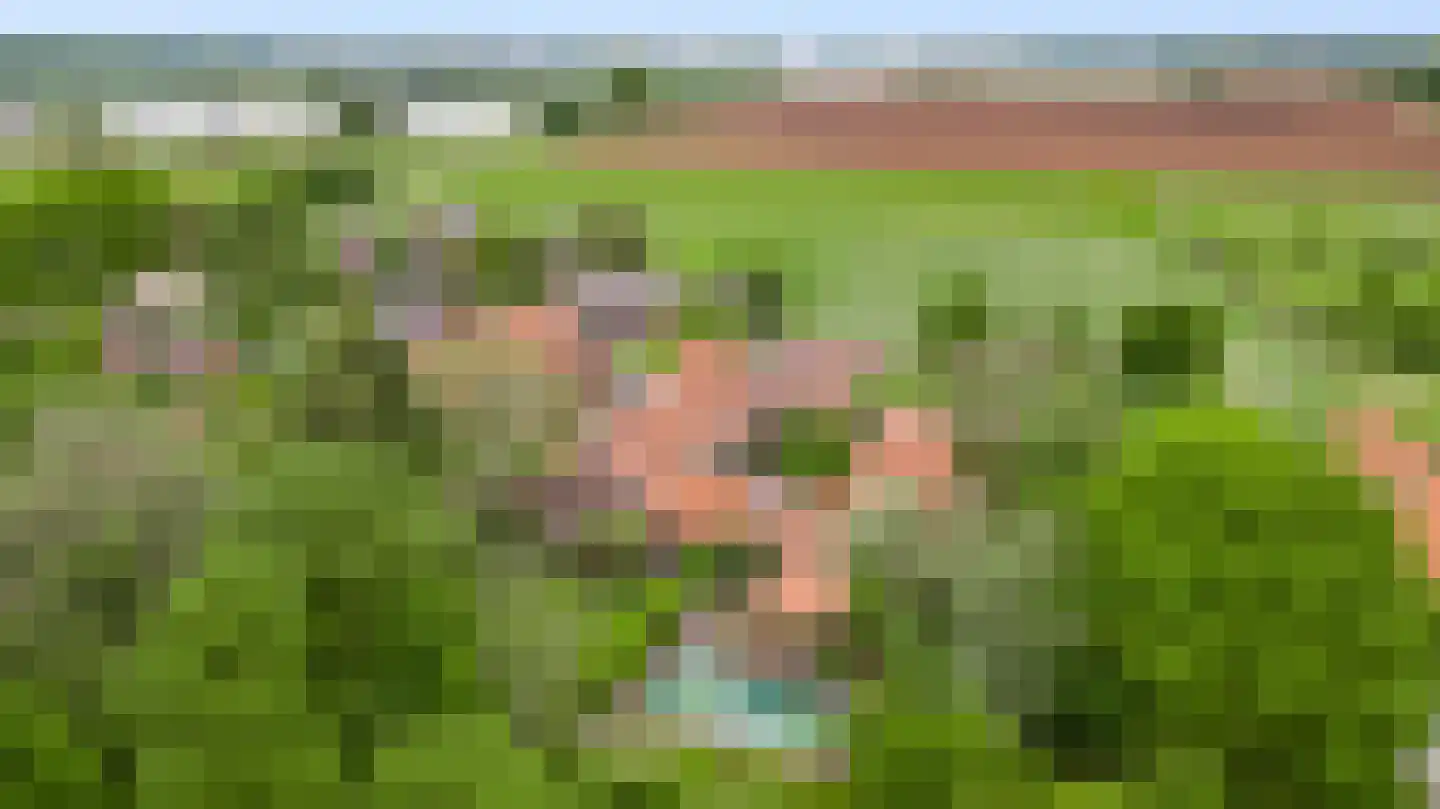 Rijkel 35 Beesel thumbnail 102
