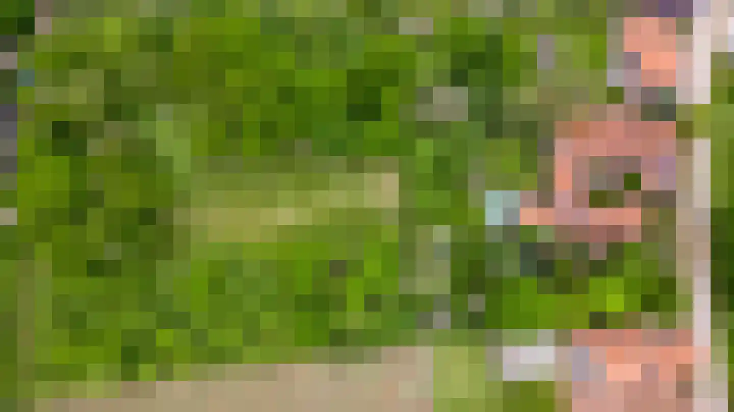 Rijkel 35 Beesel thumbnail 104