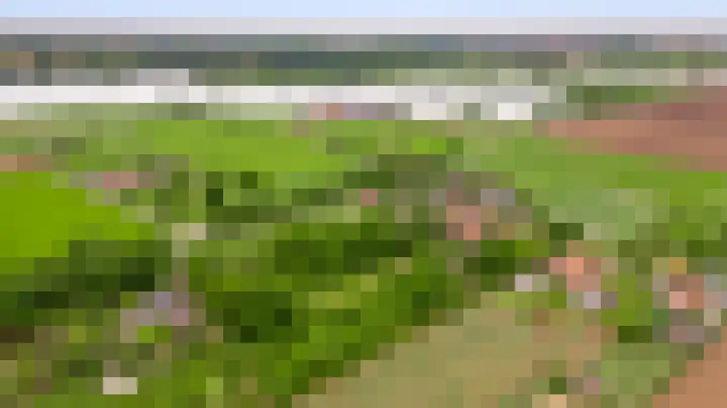 Rijkel 35 Beesel thumbnail 105