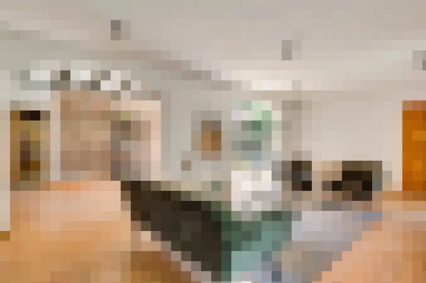 Rijkel 35 Beesel thumbnail 27