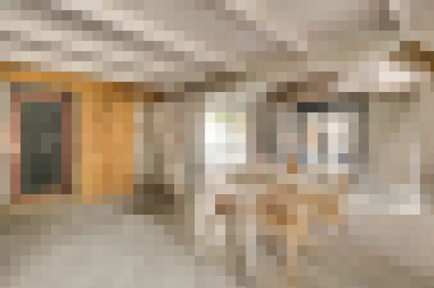 Rijkel 35 Beesel thumbnail 47