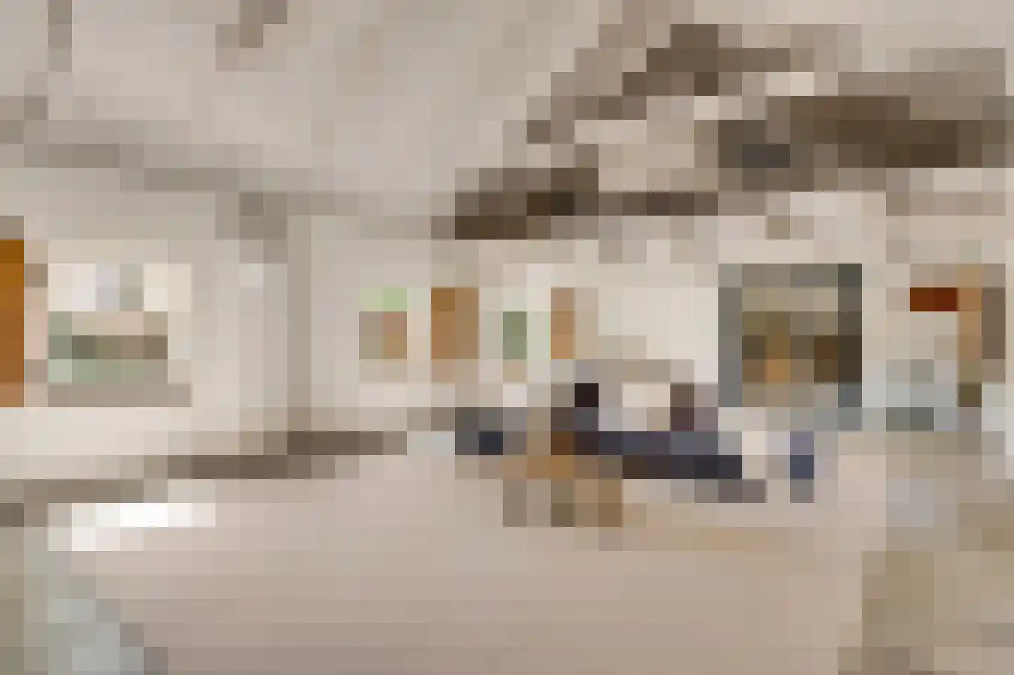 Rijkel 35 Beesel thumbnail 53
