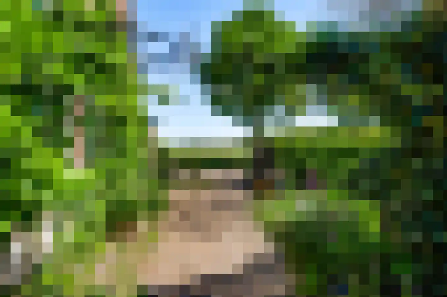 Rijkel 35 Beesel thumbnail 60