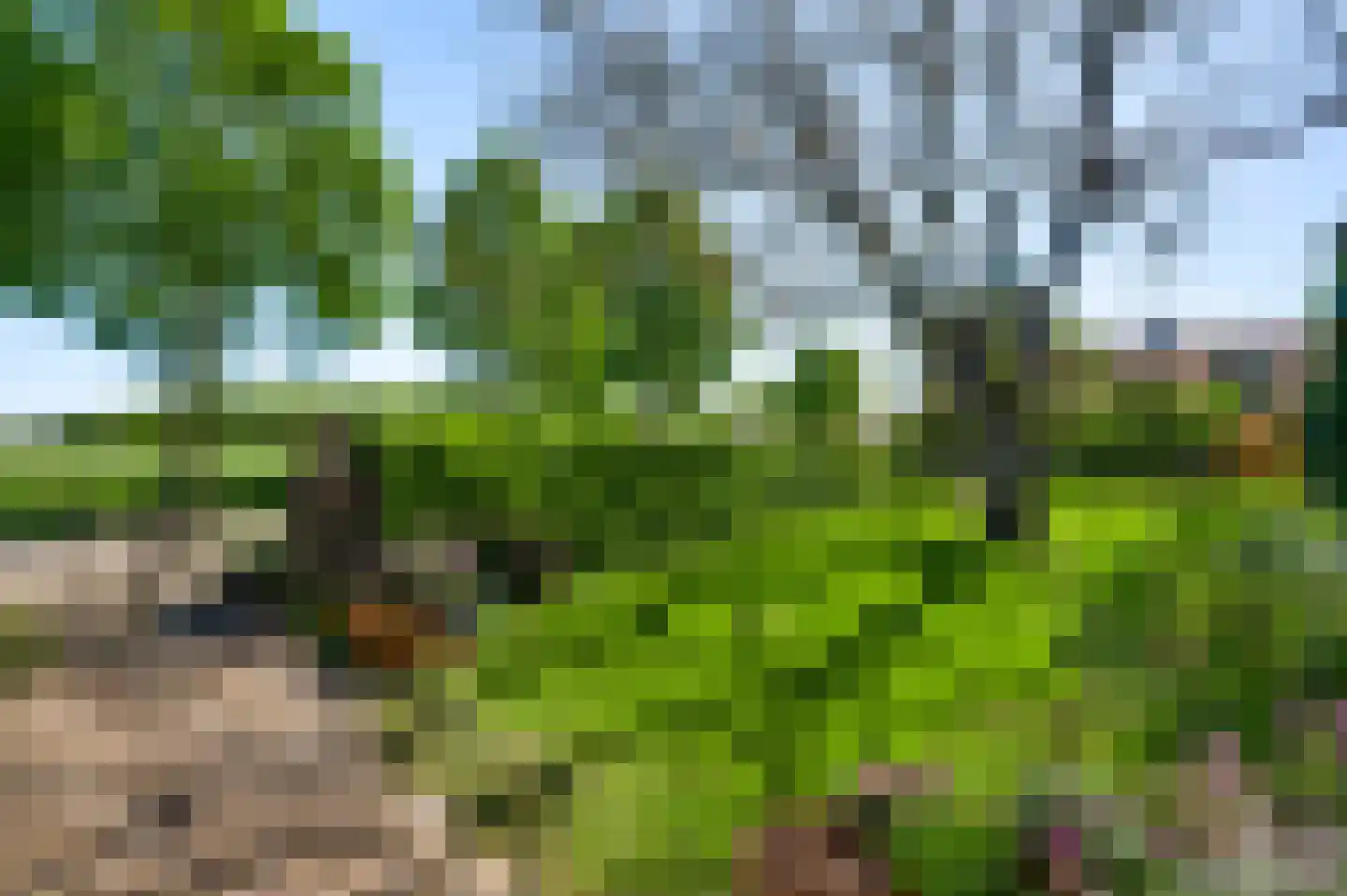 Rijkel 35 Beesel thumbnail 61