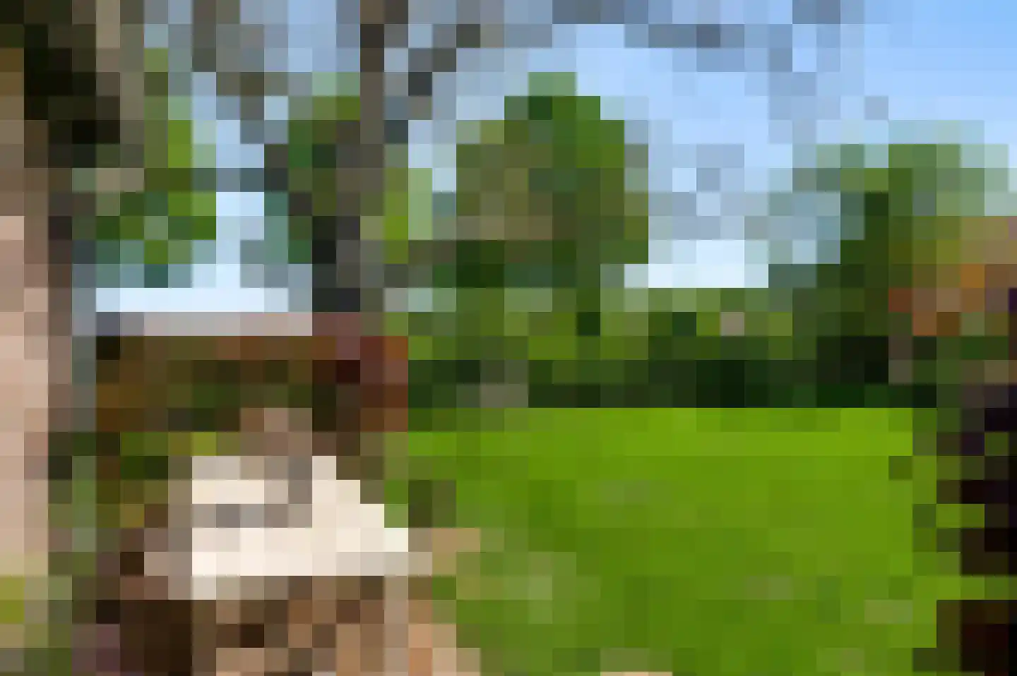 Rijkel 35 Beesel thumbnail 64