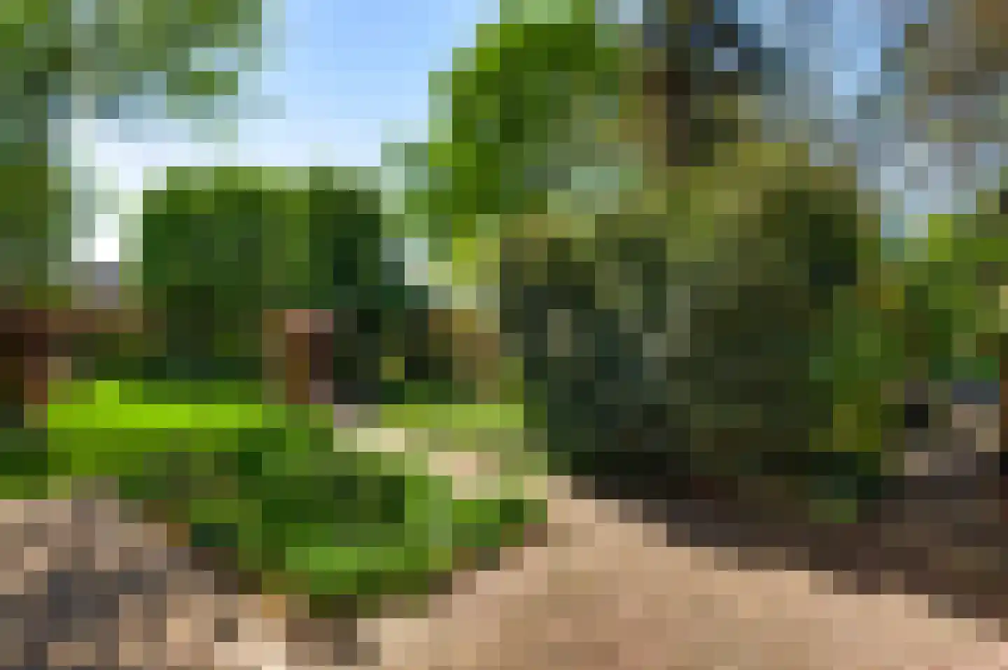 Rijkel 35 Beesel thumbnail 65