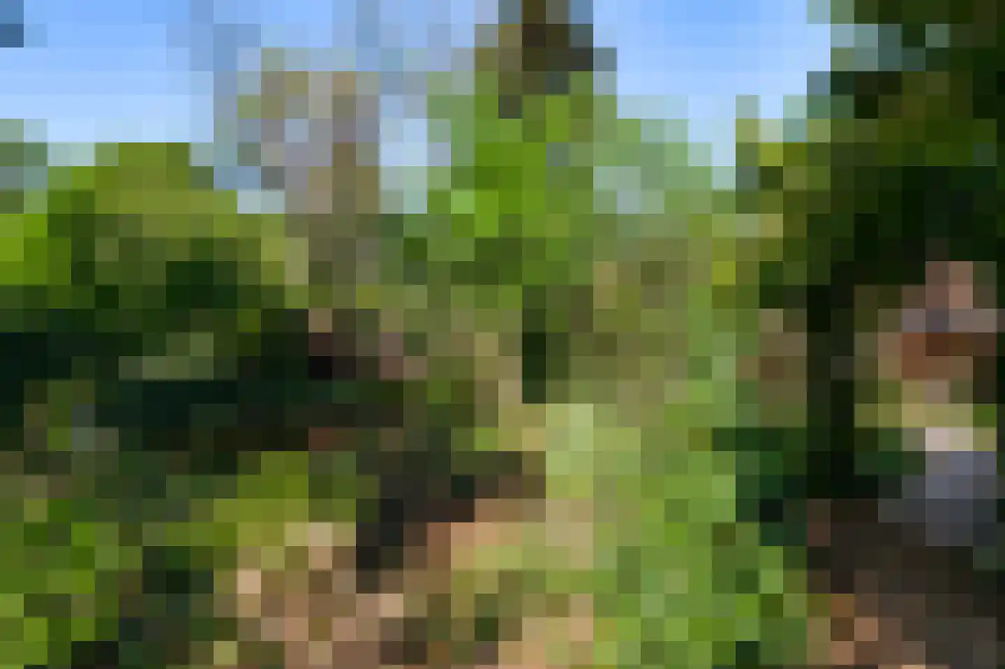 Rijkel 35 Beesel thumbnail 67