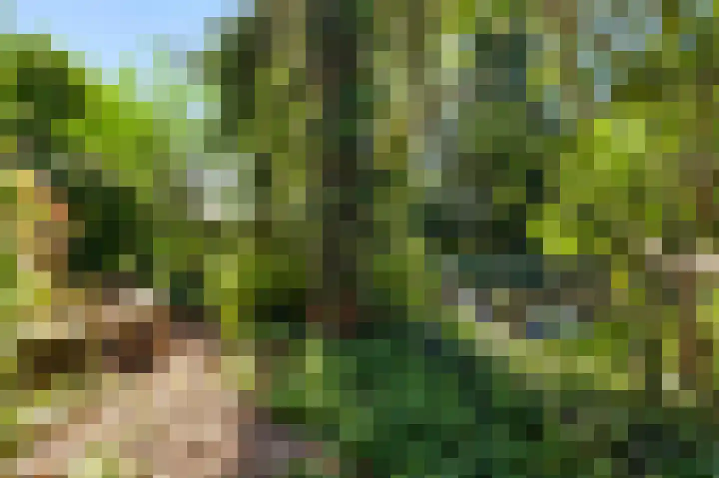 Rijkel 35 Beesel thumbnail 68