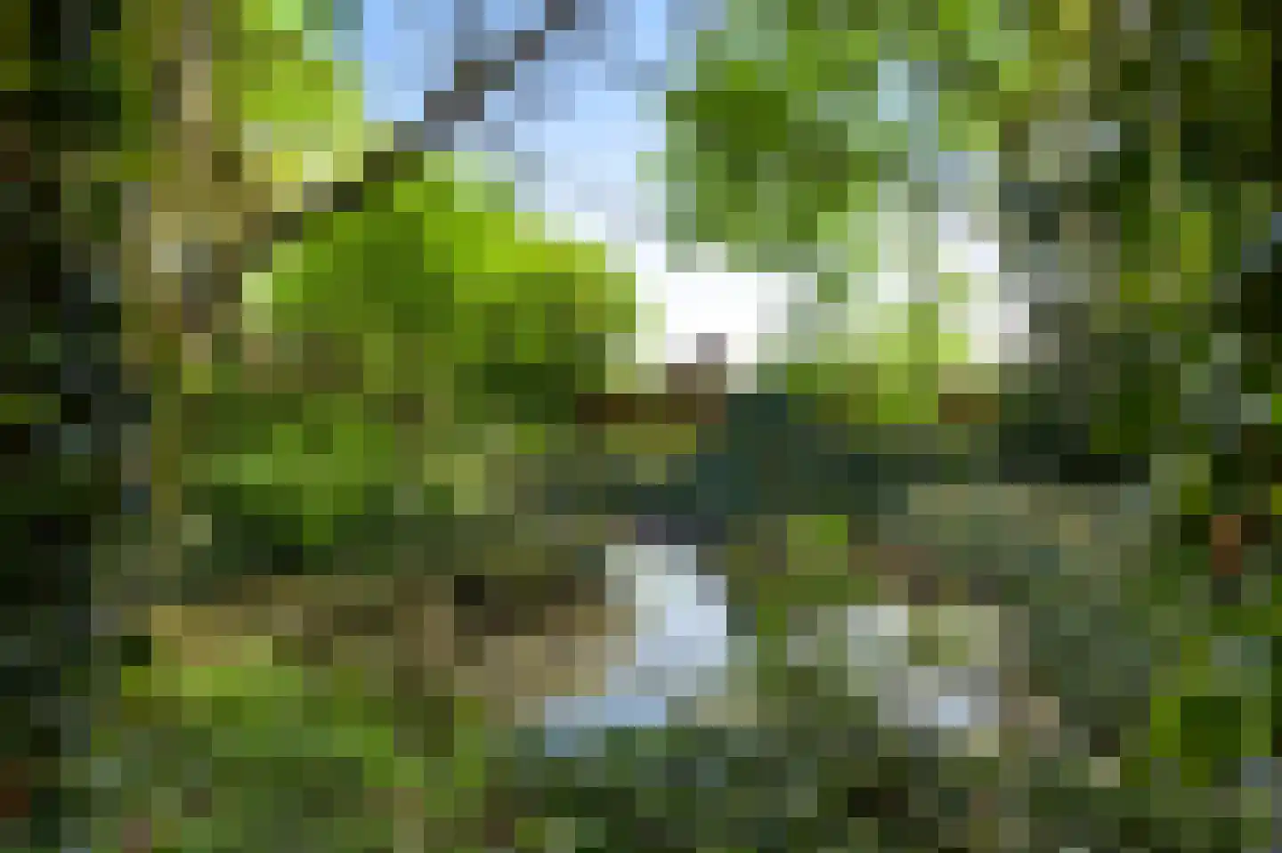 Rijkel 35 Beesel thumbnail 69