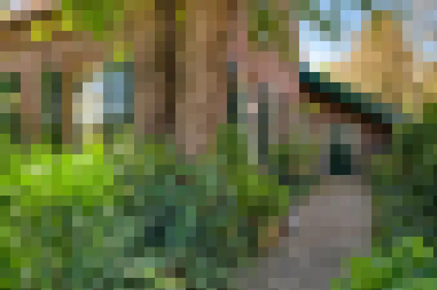 Rijkel 35 Beesel thumbnail 7