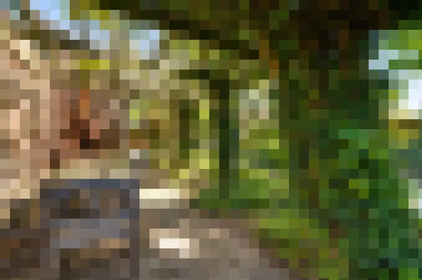Rijkel 35 Beesel thumbnail 70