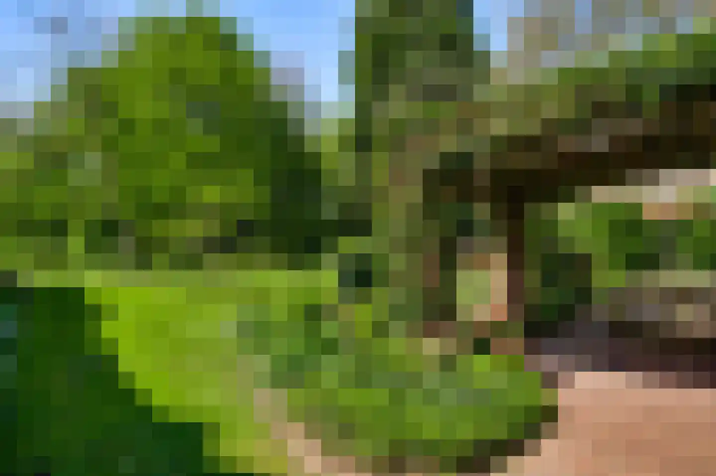 Rijkel 35 Beesel thumbnail 74