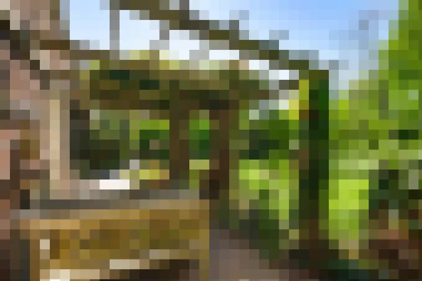 Rijkel 35 Beesel thumbnail 77