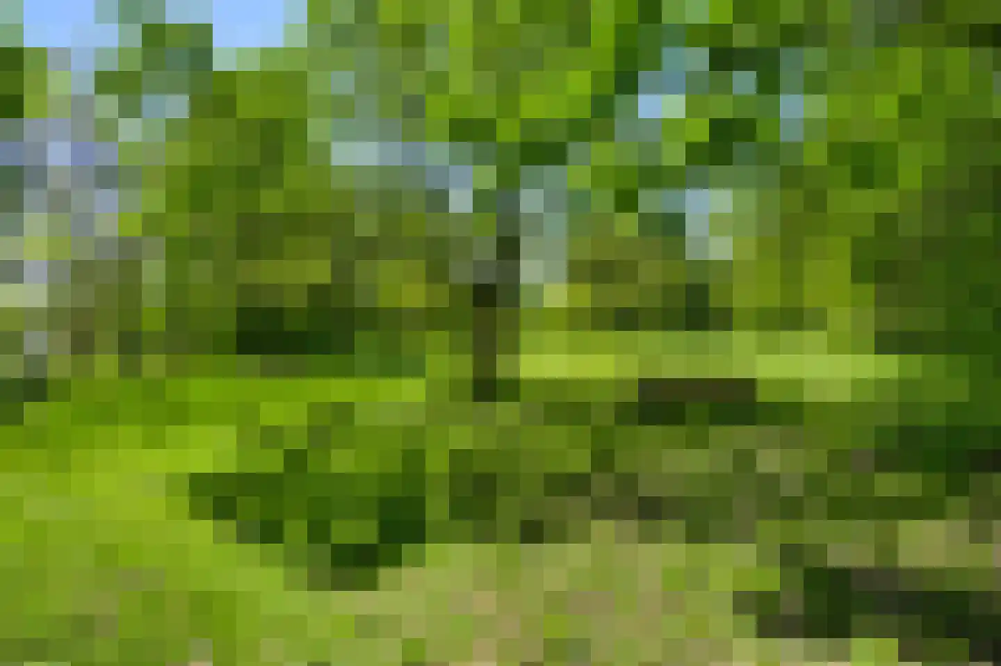 Rijkel 35 Beesel thumbnail 80