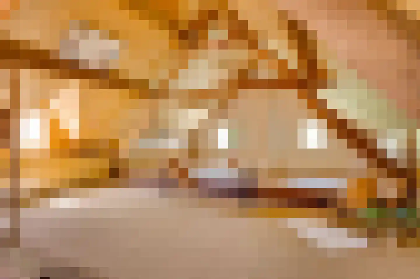 Rijkel 35 Beesel thumbnail 87