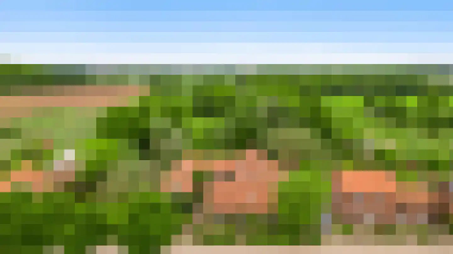 Rijkel 35 Beesel thumbnail 97