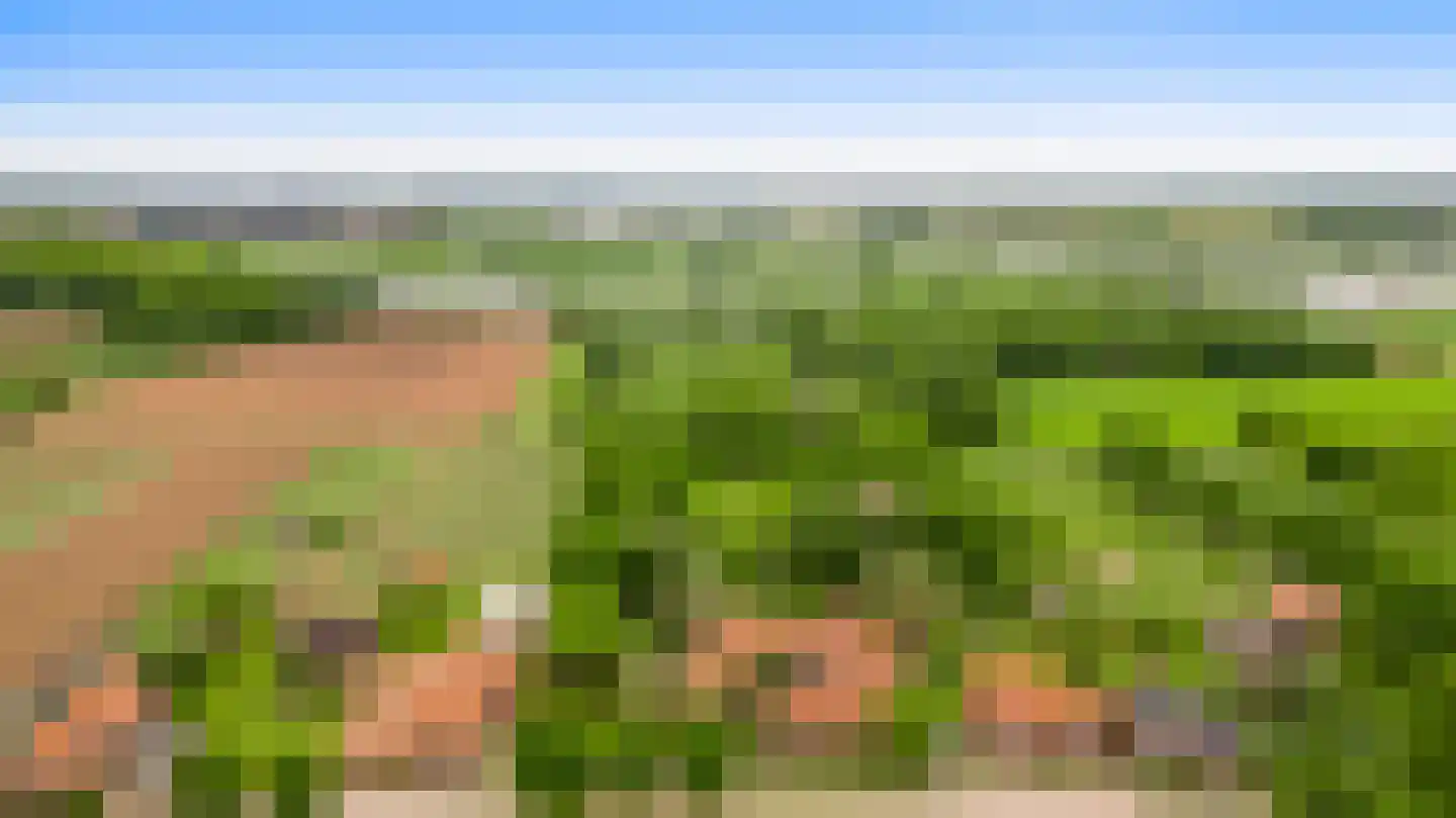 Rijkel 35 Beesel thumbnail 98