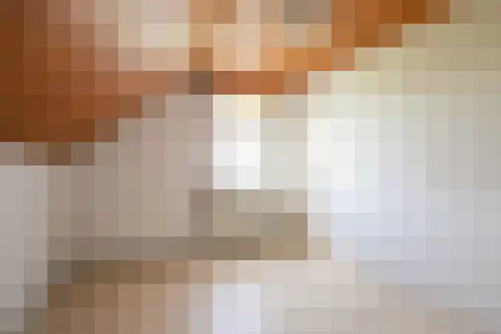 Rijkel 4 Beesel thumbnail 18