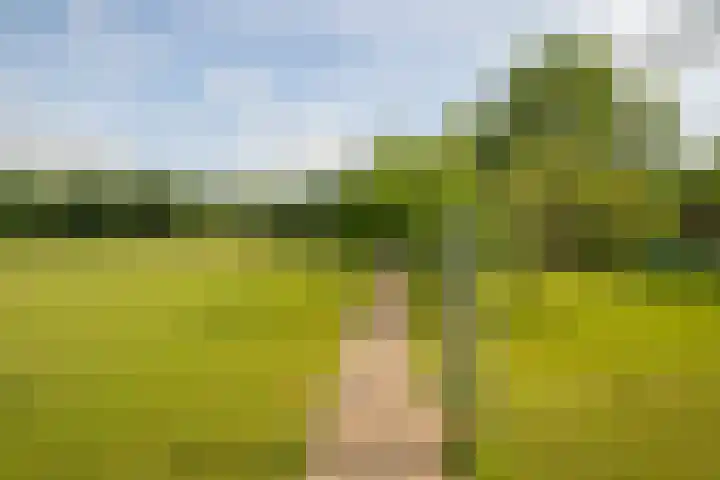 Rijkel 4 Beesel thumbnail 20