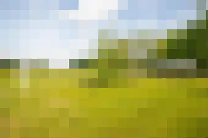 Rijkel 4 Beesel thumbnail 21