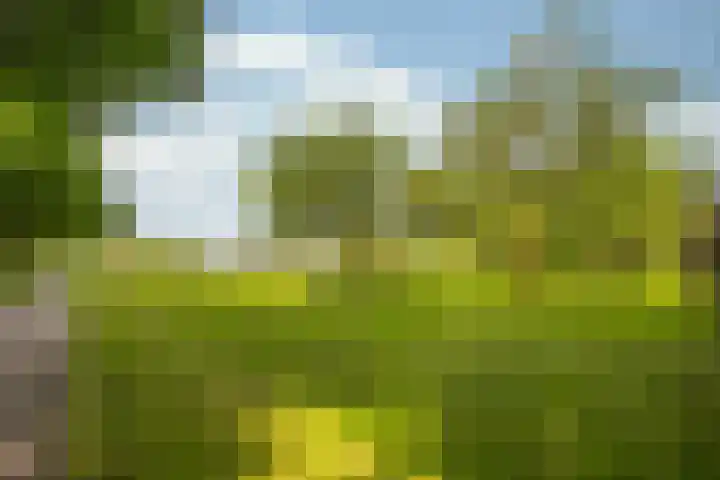 Rijkel 4 Beesel thumbnail 22