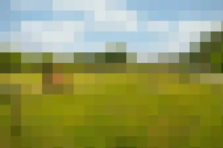 Rijkel 4 Beesel thumbnail 23