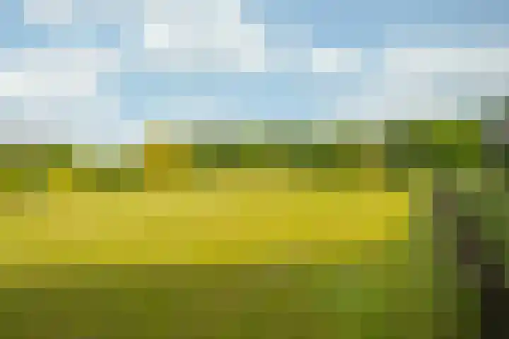 Rijkel 4 Beesel thumbnail 24