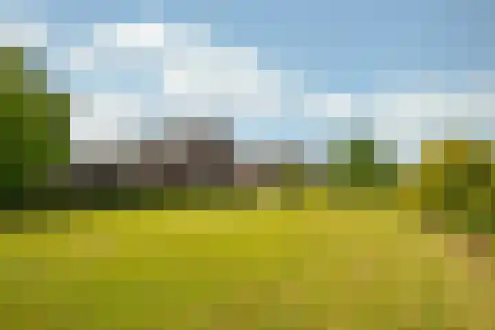 Rijkel 4 Beesel thumbnail 25