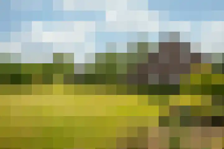 Rijkel 4 Beesel thumbnail 26
