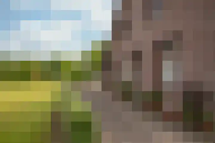 Rijkel 4 Beesel thumbnail 27