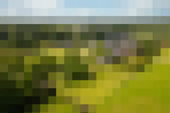 Rijkel 4 Beesel thumbnail 29