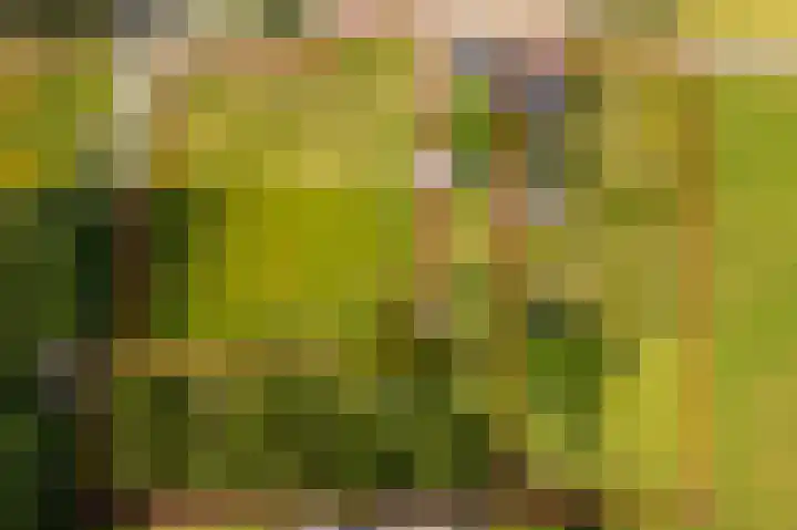 Rijkel 4 Beesel thumbnail 30