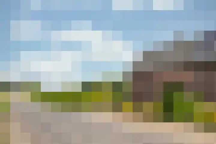 Rijkel 4 Beesel thumbnail 32