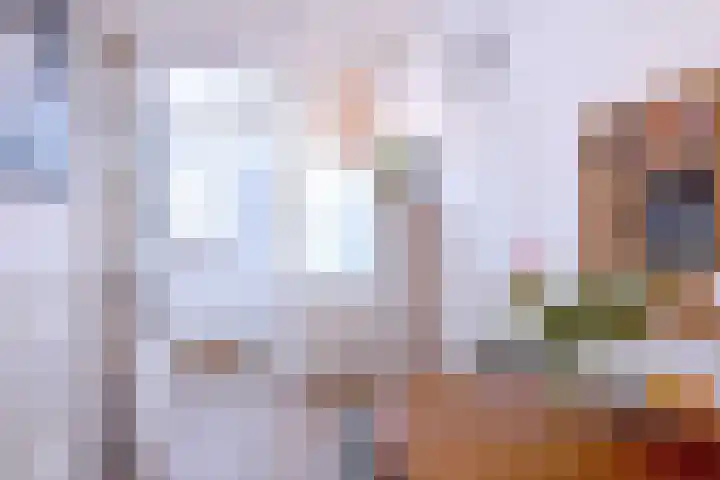 Rijkenhage 4 Zutphen thumbnail 14