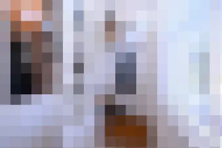 Rijkenhage 4 Zutphen thumbnail 17