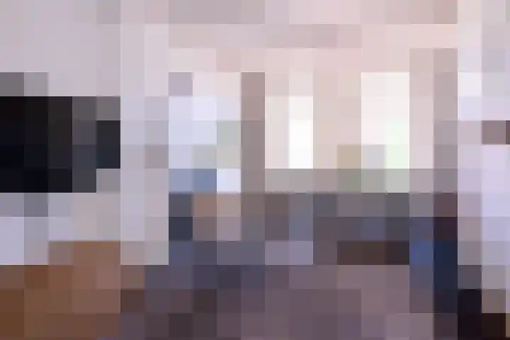 Rijkenhage 4 Zutphen thumbnail 19