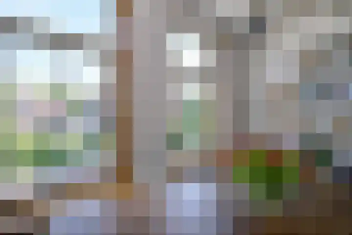 Rijkenhage 4 Zutphen thumbnail 21