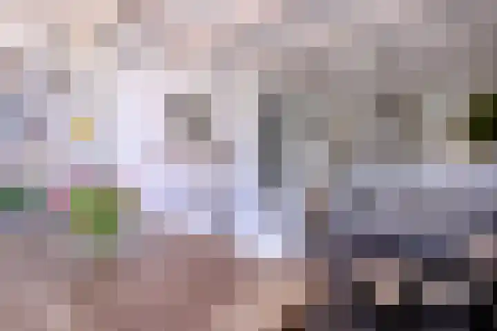 Rijkenhage 4 Zutphen thumbnail 22