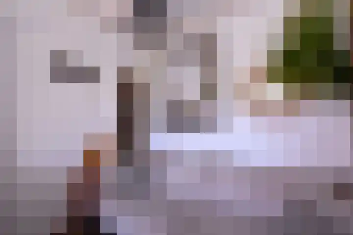 Rijkenhage 4 Zutphen thumbnail 23