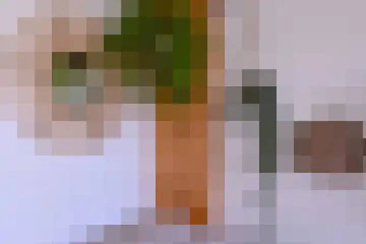Rijkenhage 4 Zutphen thumbnail 24