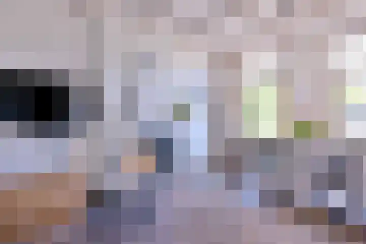 Rijkenhage 4 Zutphen thumbnail 25