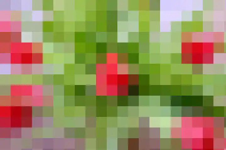 Rijkenhage 4 Zutphen thumbnail 26