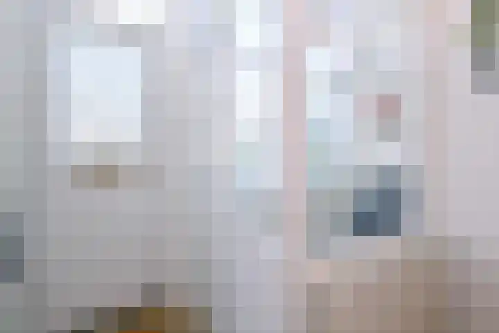 Rijkenhage 4 Zutphen foto 3