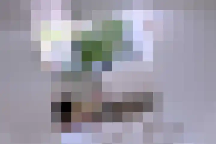 Rijkenhage 4 Zutphen thumbnail 30