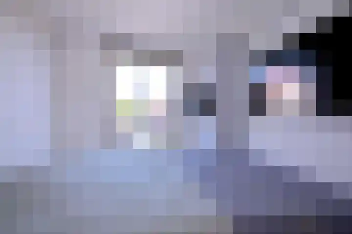Rijkenhage 4 Zutphen thumbnail 33