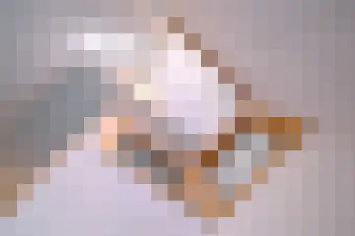 Rijkenhage 4 Zutphen thumbnail 36