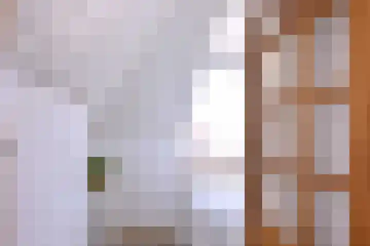 Rijkenhage 4 Zutphen thumbnail 37